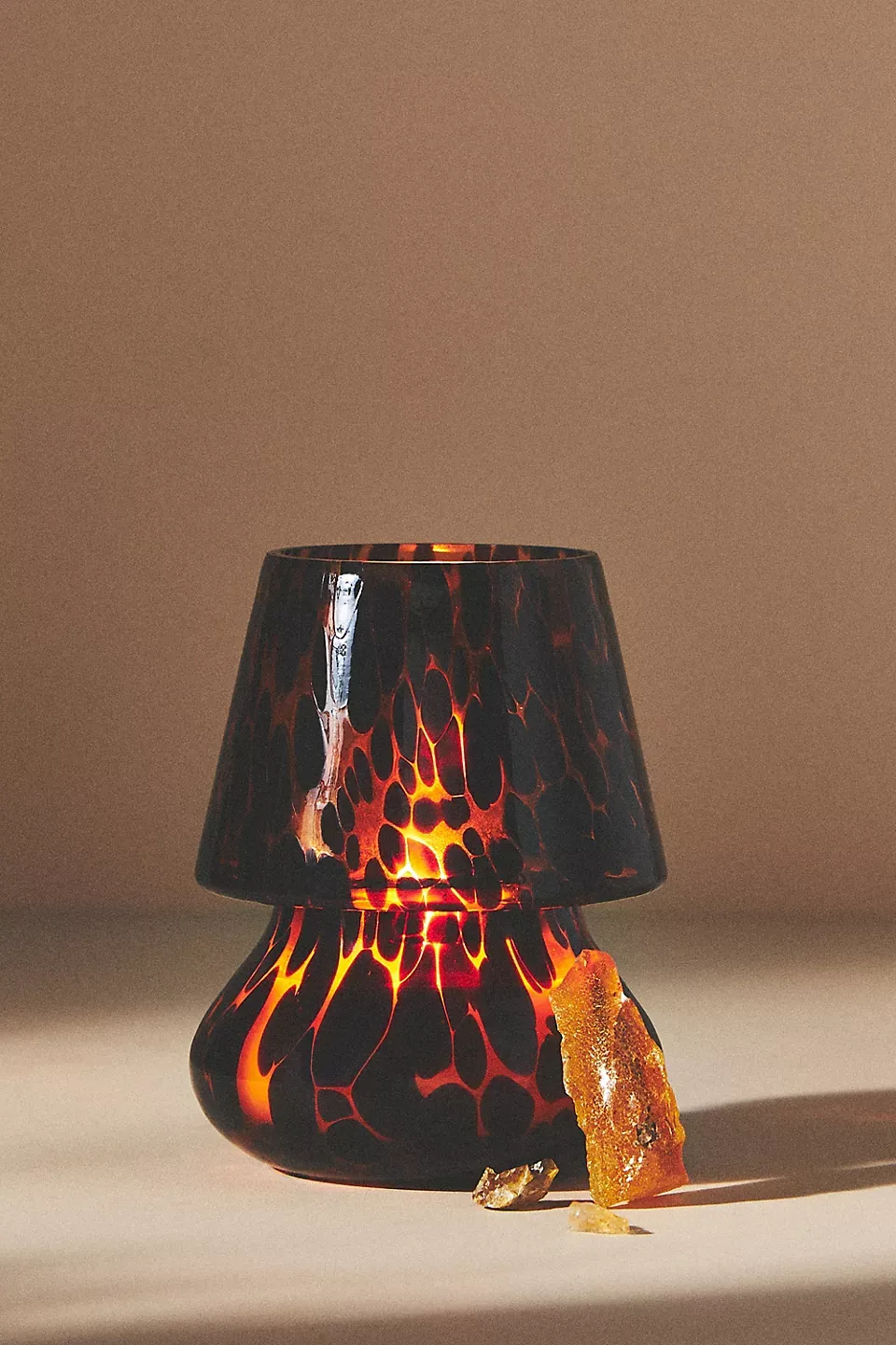 tortoiseshell